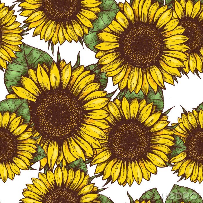 Poster Sonnenblumen in grafischer Version
