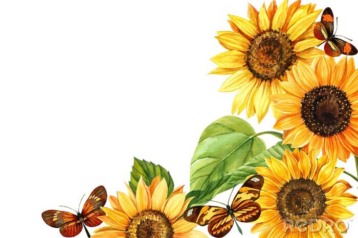 Poster Sonnenblumen mit Schmetterlingen