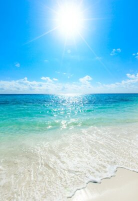 Poster Sonnenlicht über dem klaren Meer