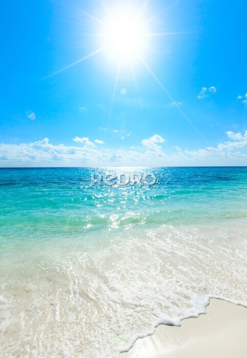 Poster Sonnenlicht über dem klaren Meer