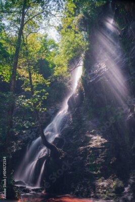 Poster Sonnenstrahlen fallen auf einen Wasserfall im Wald