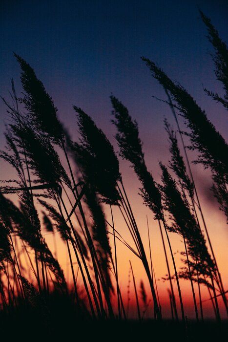 Poster Sonnenuntergang am See