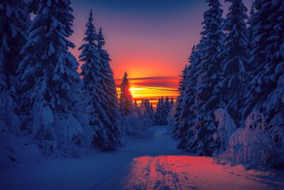 Poster Sonnenuntergang von einem Winterwald aus gesehen