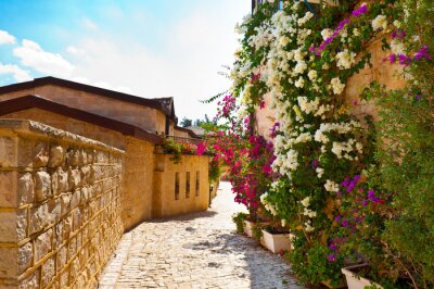 Sonnige Gasse mit Blumen