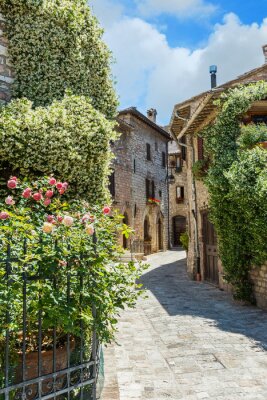 Fototapete Sonnige Gasse zwischen Gärten