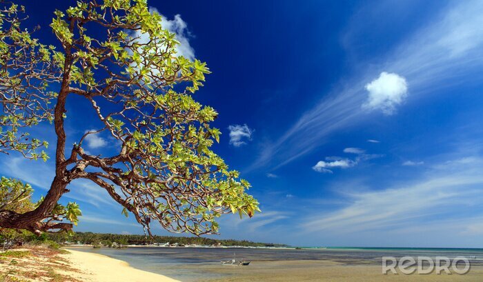 Poster Sonnige Landschaft am Meer
