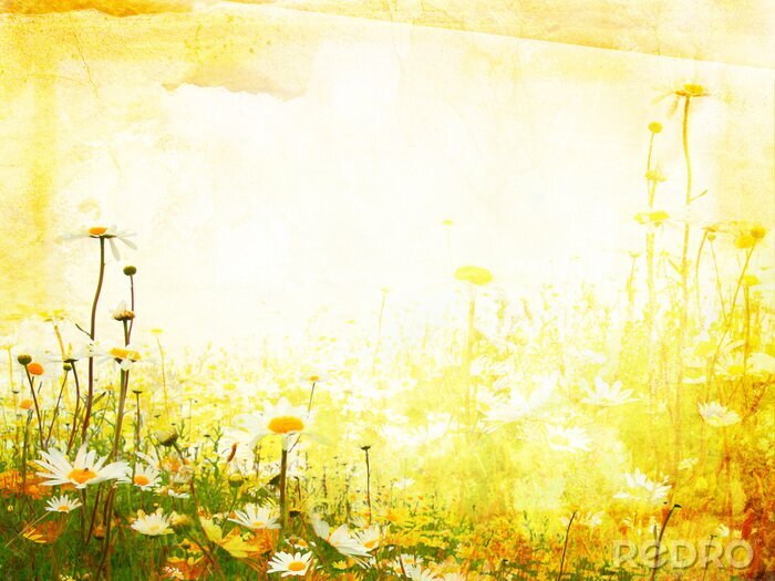 Poster Sonnige Natur