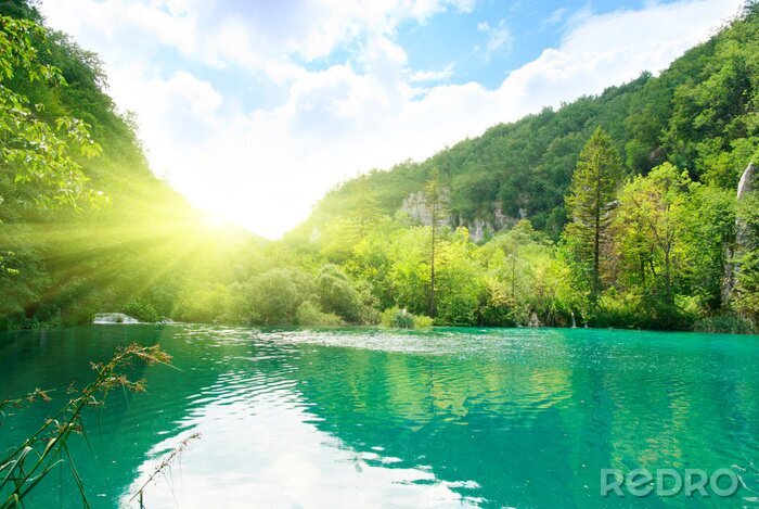 Poster Sonniger Blick auf Fluss