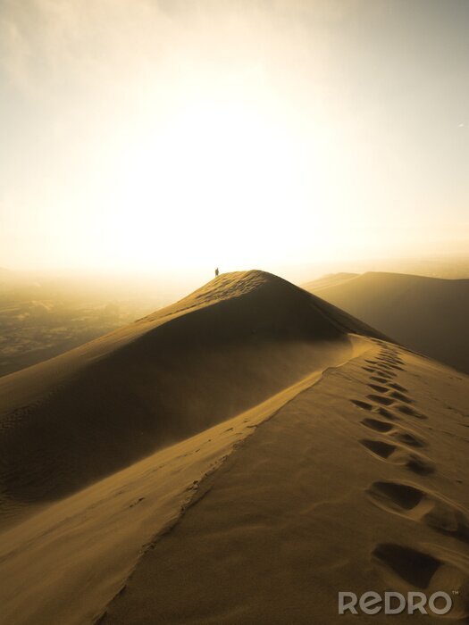 Poster Spaziergang durch die Wüste im Nebel