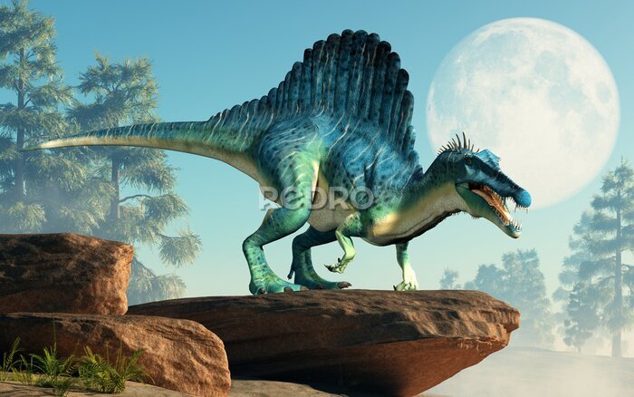 Poster Spinosaurus auf einer Klippe mit Mond im Hintergrund