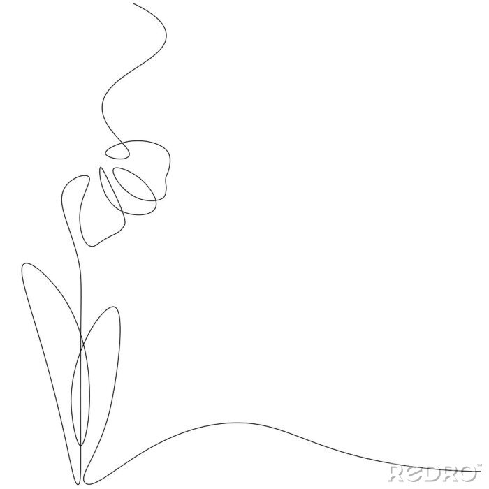 Poster Spring flowers isolated on white background. Continuous line drawing. Vector illustration