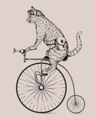 Poster Steampunk-Retro-Katze auf einem Fahrrad
