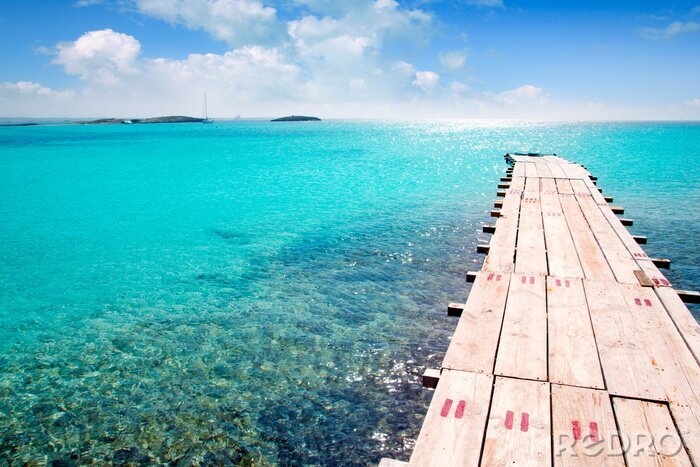 Poster Steg am türkisfarbenem Meer