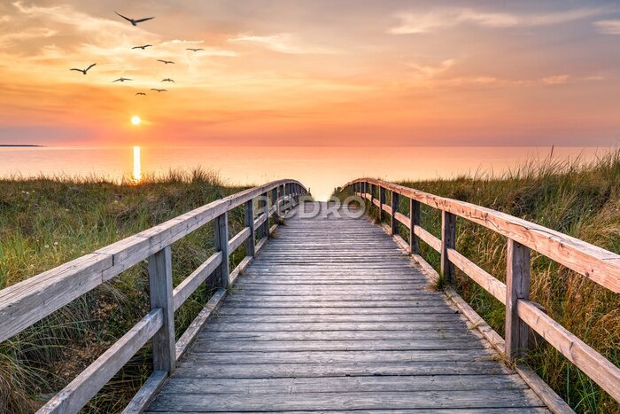 Poster Steg zum Meer bei Sonnenaufgang