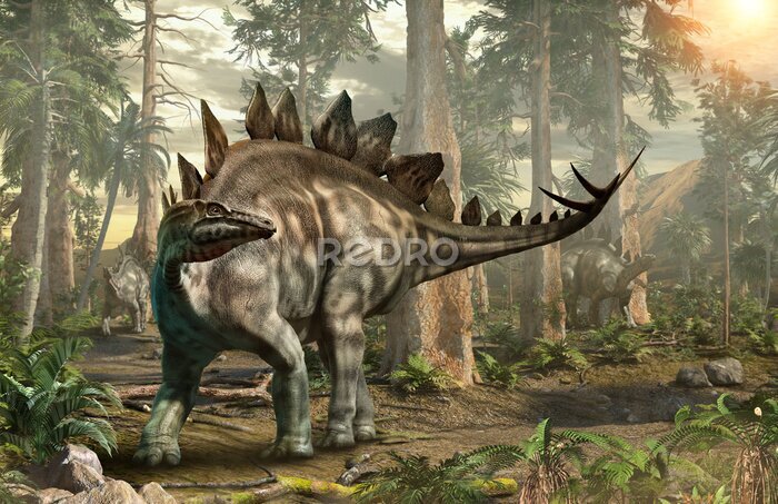 Poster Stegosaurus spaziert durch den Wald