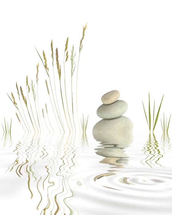 Poster Steine und Wassergräser auf einem See