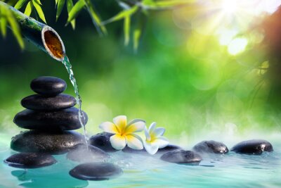 Steine Wasser und Blumen