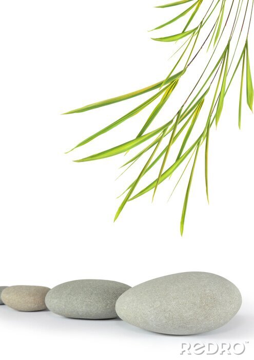 Poster Steine Zen und ein Zweig von feinem Gras