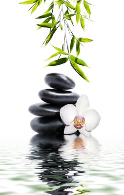 Poster Steine Zen und Orchidee auf Wasser