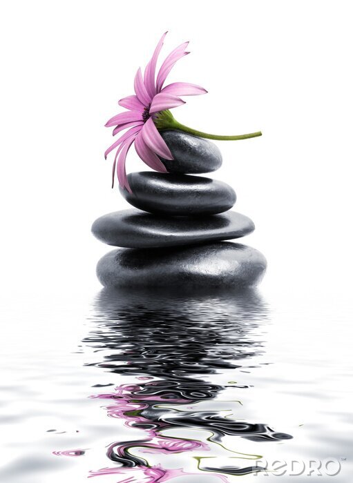 Poster Steine Zen verziert mit einer rosa Blume
