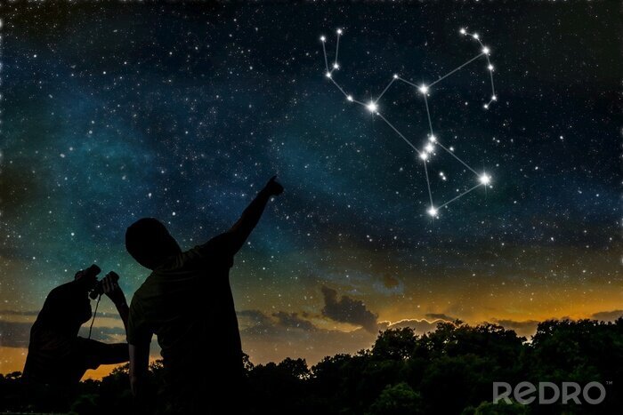 Poster Sternenkonstellation des Orion über dem Wald