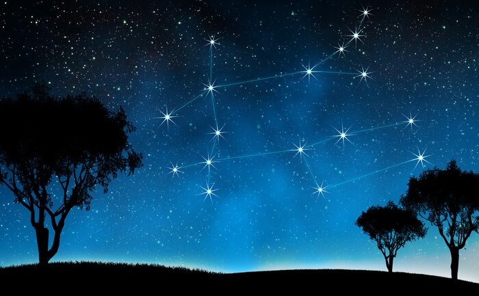 Poster Sternenkonstellation im Zeichen der Zwillinge