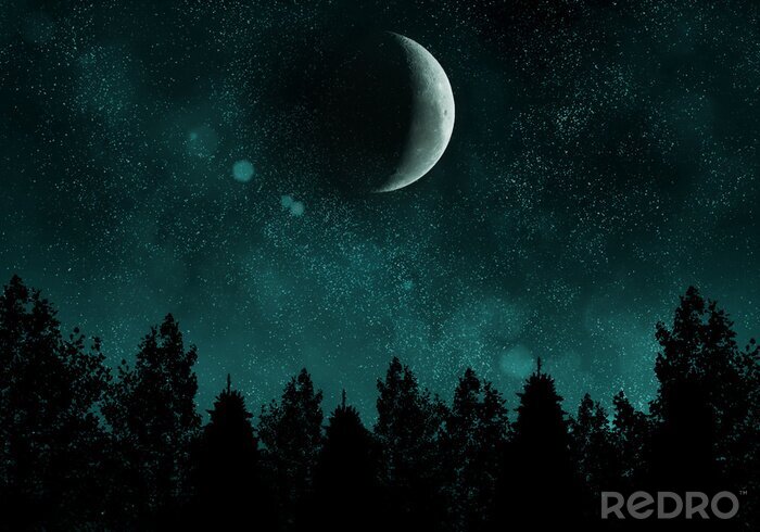 Poster Sternennacht mit Wald und Mond