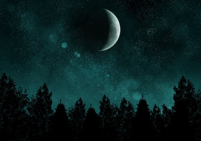 Poster Sternennacht mit Wald und Mond