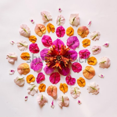 Poster Stillleben mit bunten Blütenblättern