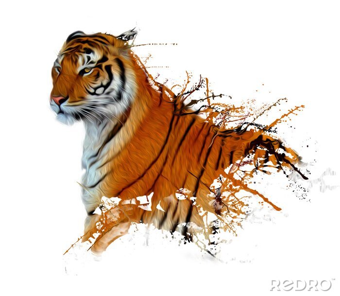Poster Stolzer Tiger auf weißem Hintergrund