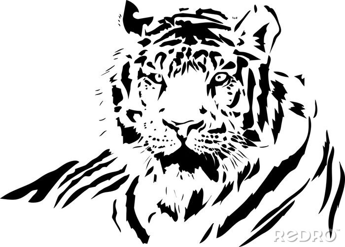 Poster Stolzer Tiger in Schwarz und Weiß