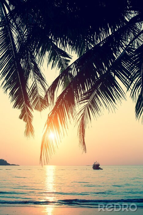 Poster Strand im Schatten von Palmen