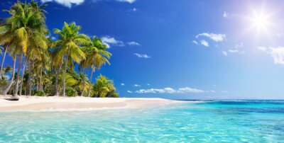 Strand Palmen und türkisfarbenes Wasser
