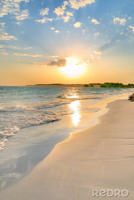 Poster Strand und Meer mit der untergehenden Sonne