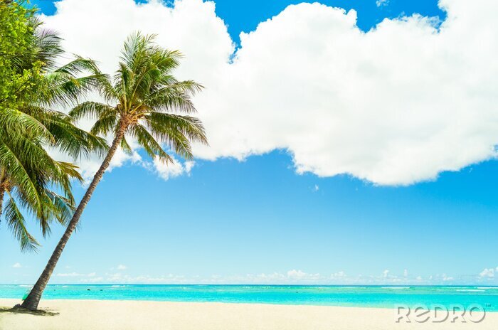 Poster Strand und Ozean Blick auf Hawaii