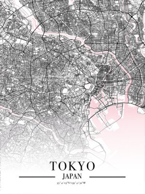 Straßenkarte von Tokio