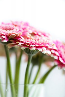 Strauss mit rosa Gerbera