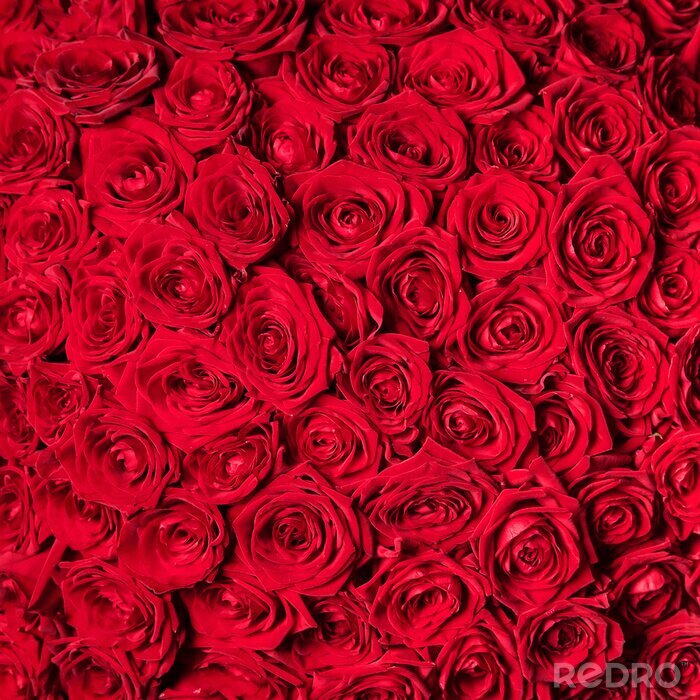 Poster Strauß mit roten Rosen