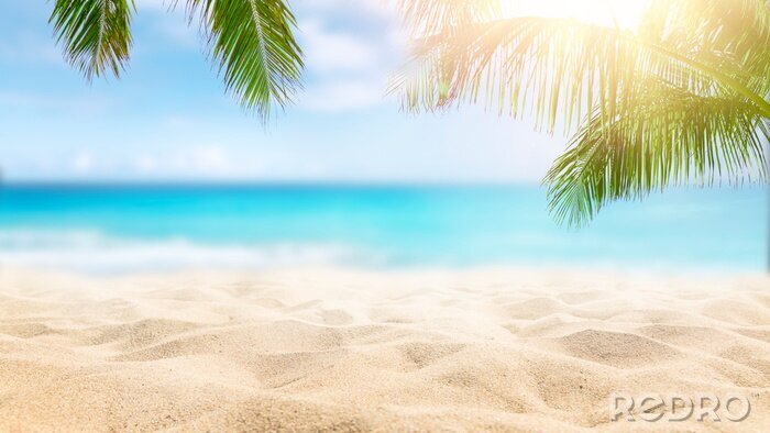 Poster  Sunny tropical Caribbean beach with palm trees and turquoise water