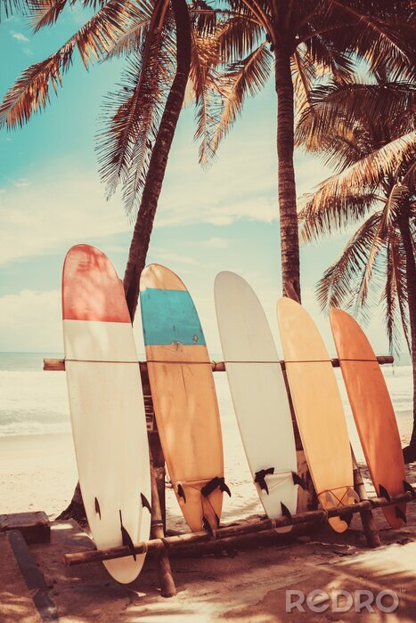 Poster Surfbrett und Palmen auf dem Strand Hintergrund