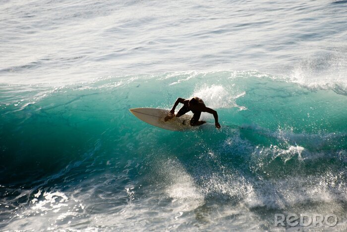 Poster Surfer am azurblauen Wasser