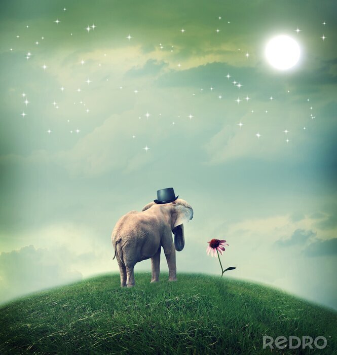 Poster Surrealismus Elefant und Blume