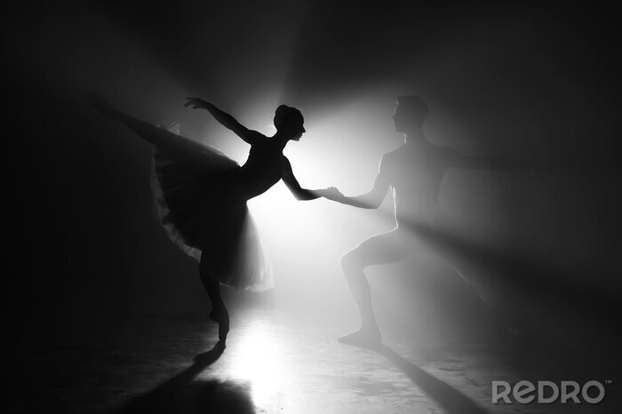 Poster Tanz Ballett Paar in künstlerischer Ansicht