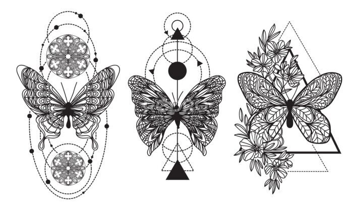 Poster Tattoo art butterfly hand drawing and sketch with line art illustration isolated on white background.