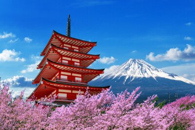 Tempel und blühende Kirschbäume in Tokio