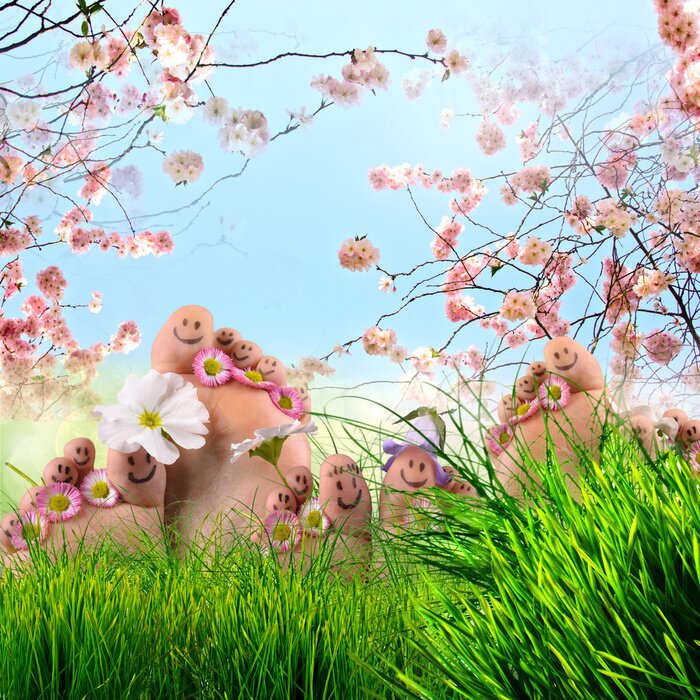 Poster Thema Frühlingsnatur rund um die Füße