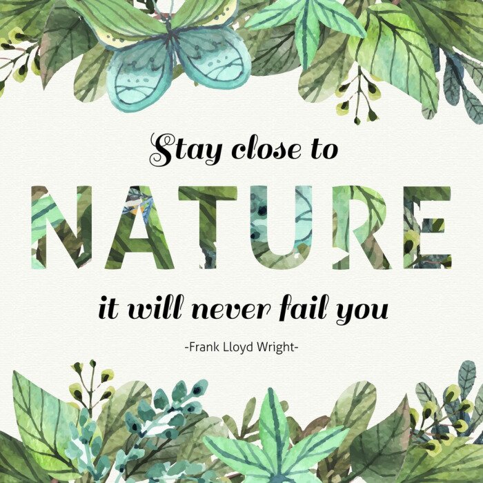 Poster Thema Natur mit dekorativem Zitat