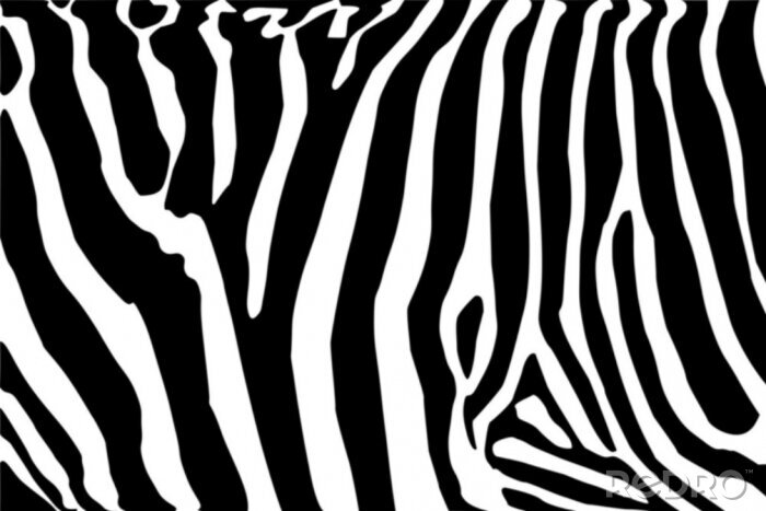Poster Tieraufdruck mit Zebra