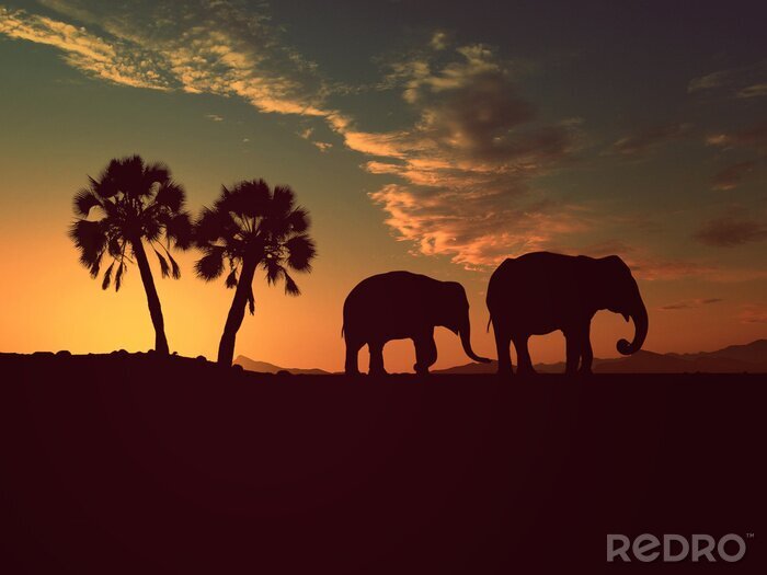 Poster Tiere Afrika Elefanten bei Sonnenuntergang