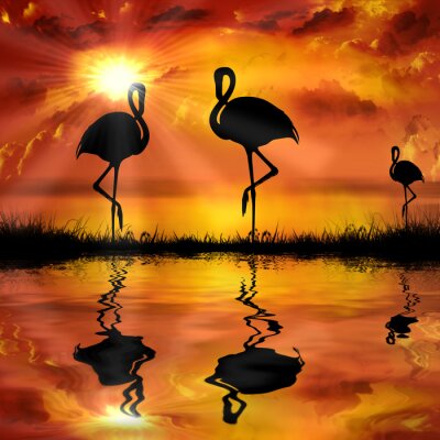 Poster Tiere Flamingos in der Sonne